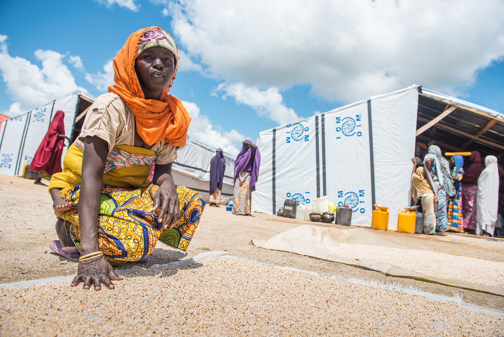 45289286514_ca12d8f467_b